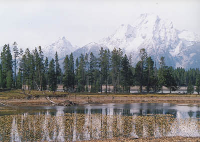 photo on Hermatige Point trail