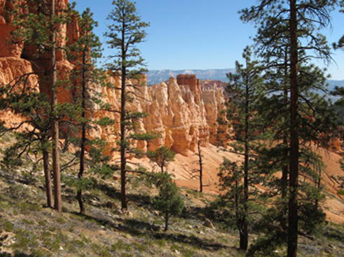 photo of Bryce National Park