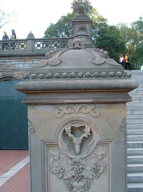 Central Park, NYC photo