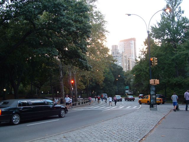Central Park, NYC photo
