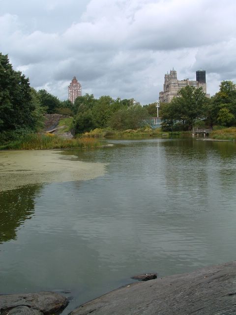 photo of Central Park, NYC
