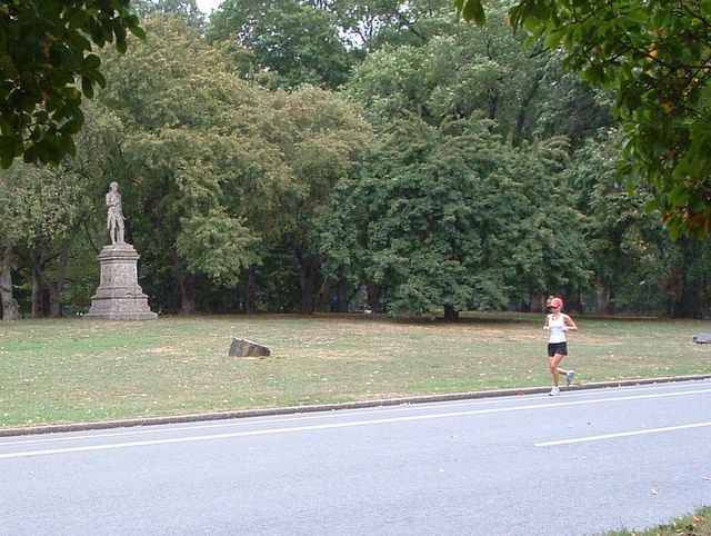 photo of Central Park, NYC