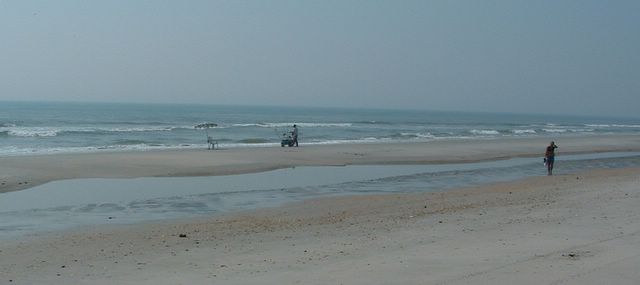 beach, Huntington Beach State Park, SC