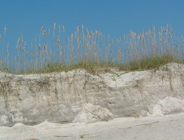 Huntington Beach State Park, SC