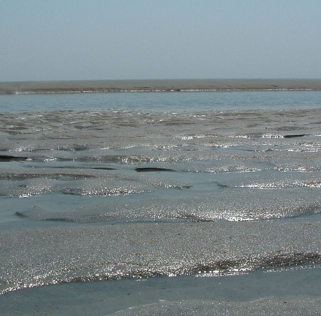 Huntington Beach State Park, SC