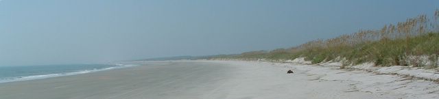 Atlantic Ocean, Huntington Beach State Park