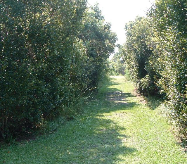 Sandpiper Pond Nature Trail