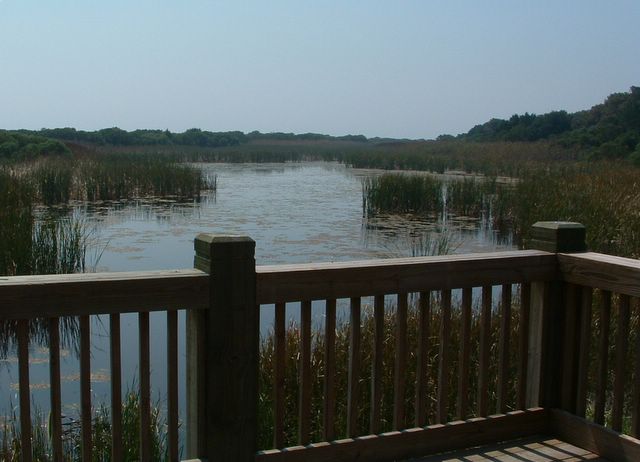 Sandpiper Pond Nature Trail