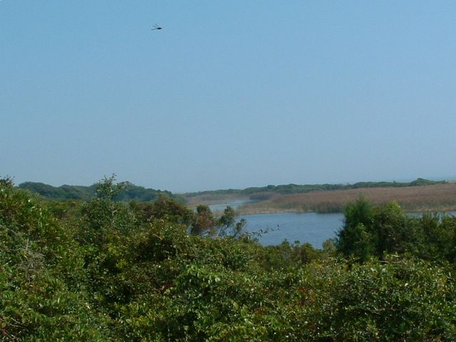 Sandpiper Pond Nature Trail, SC