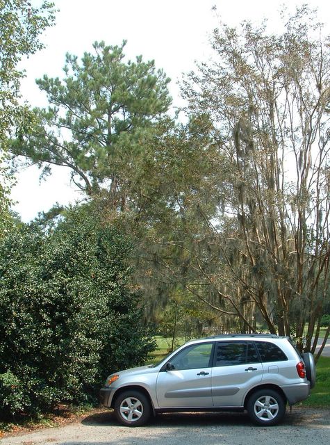 photo of Toyota Rav 4 at Mepkin Abbeye