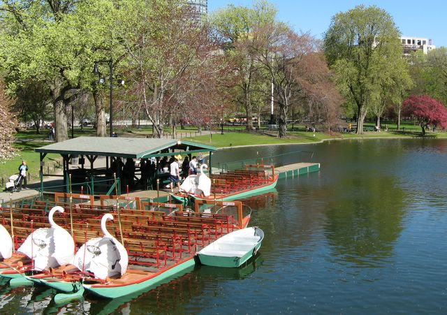 Photo of a boats