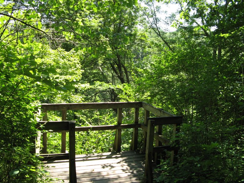 Clifton Gorge State Nature Preserve