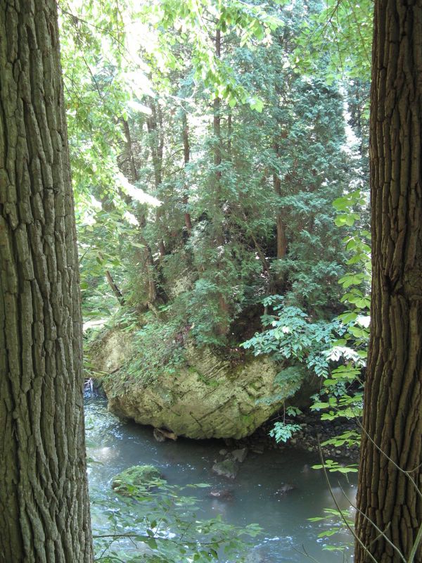 Clifton Gorge State Nature Preserve
