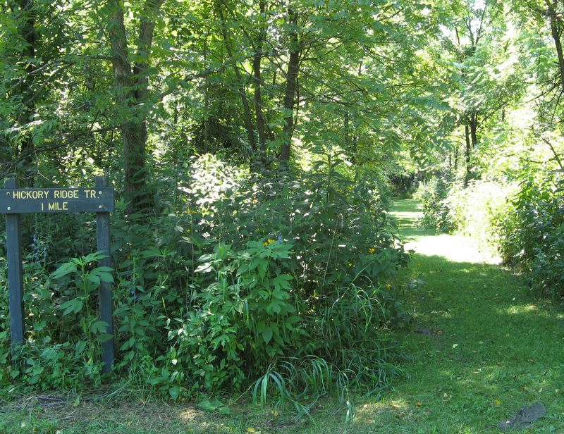 photo of Forest Glen Preserve