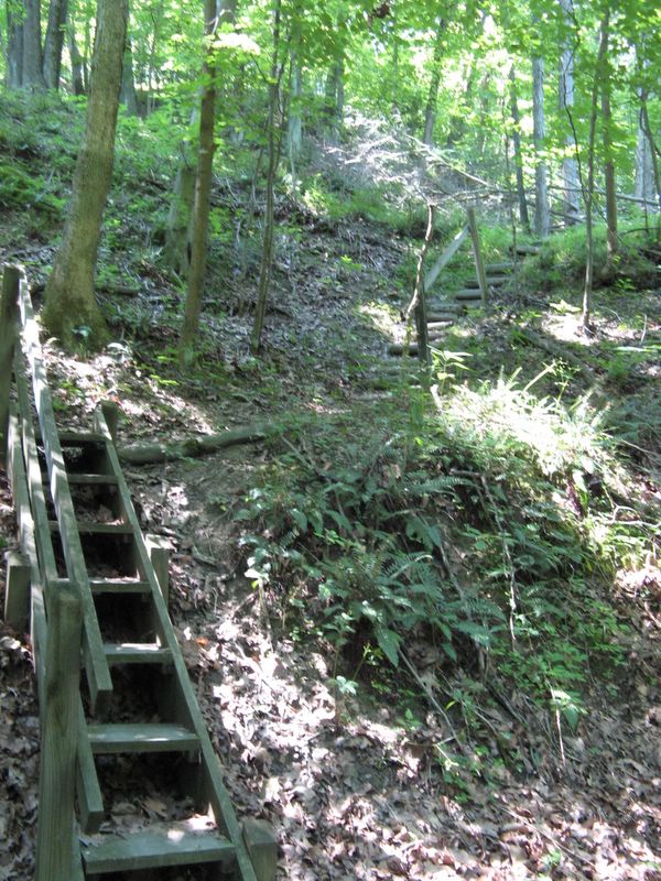 photo of Forest Glen Preserve