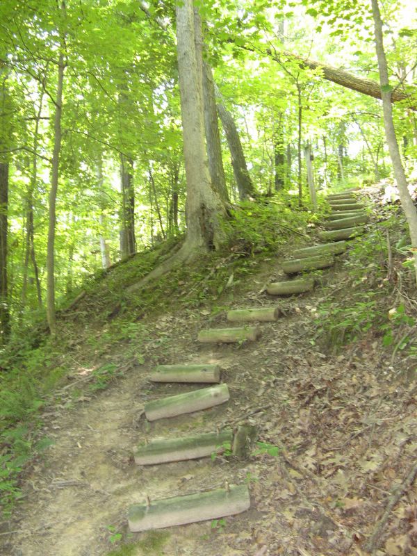 photo of Forest Glen Preserve