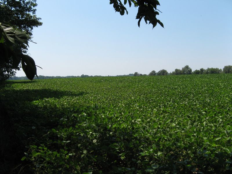 photo of Forest Glen Preserve