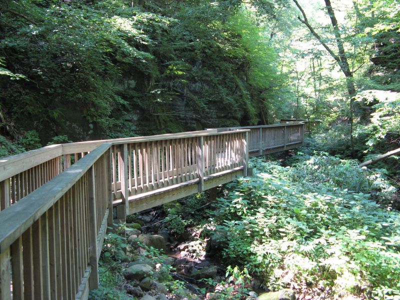 photo of bridge in Parfrey's Glen, WI