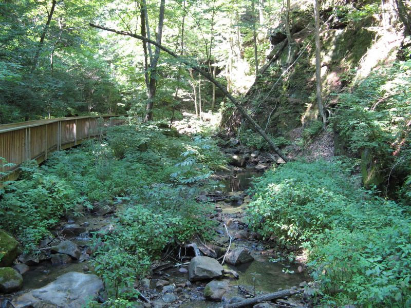 picture of Parfrey's Glen Park, WI
