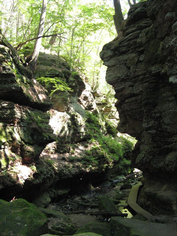 picture of Parfrey's Glen State Park