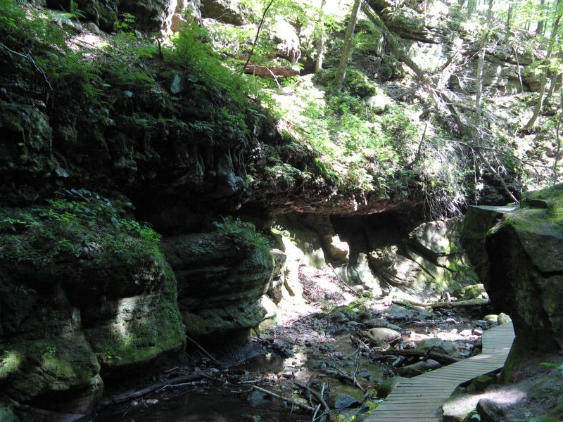 picture of Parfrey's Glen State Park, WI