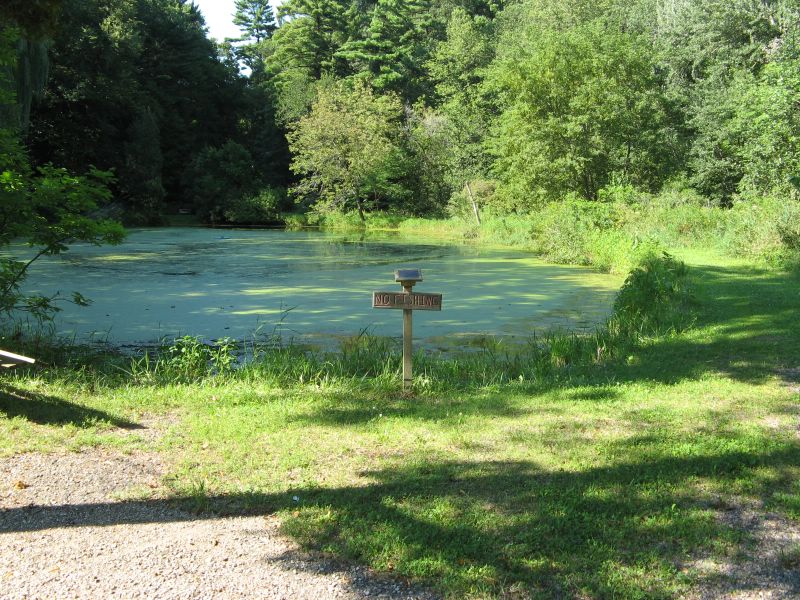 picture of Durwood's Glen, WI