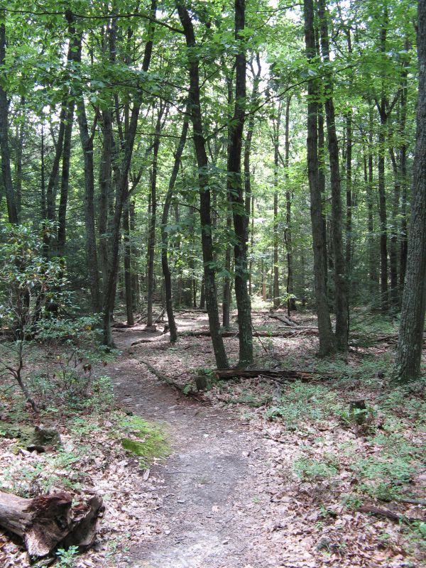 Rocky Gap State Park