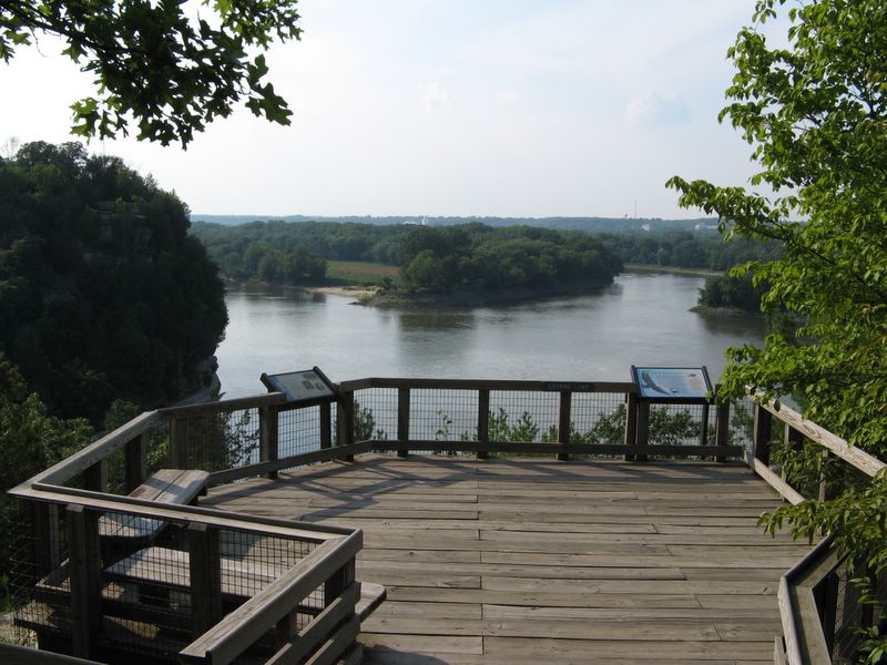 photo of leaves and seeds in Starved Rock State Park