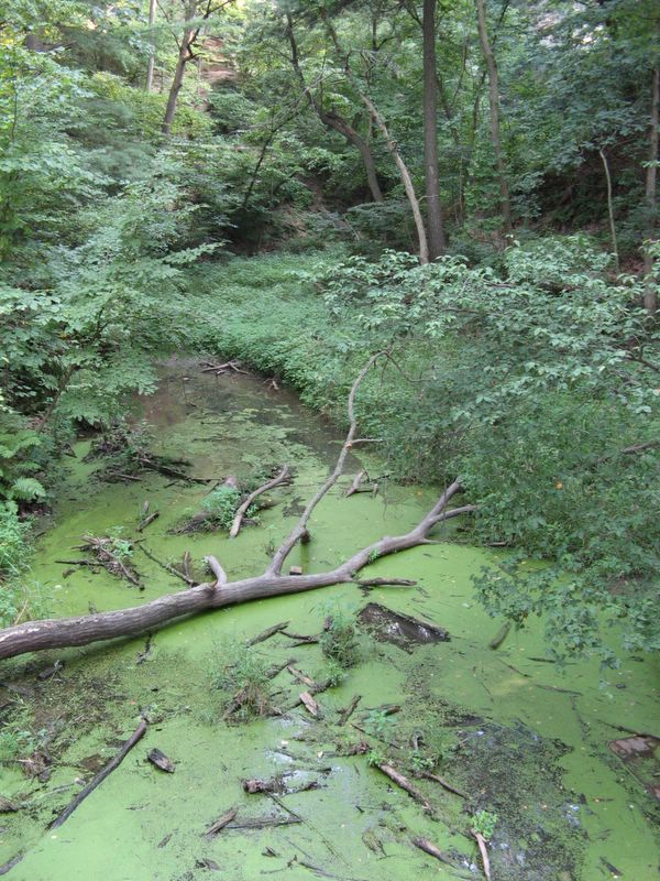 photo of trail