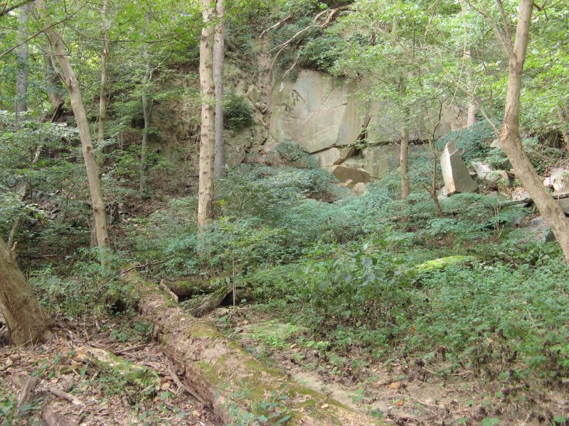 photo along the trail