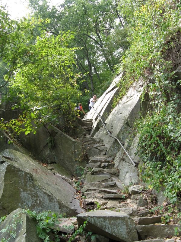 photo of the Virgina side of the Potomic River