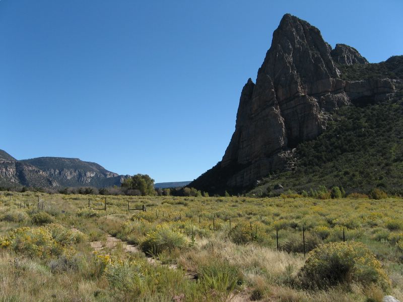 photo of vista