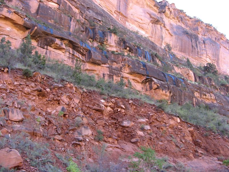 photo of vista