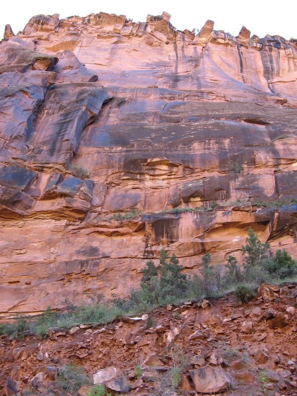 photo of vista