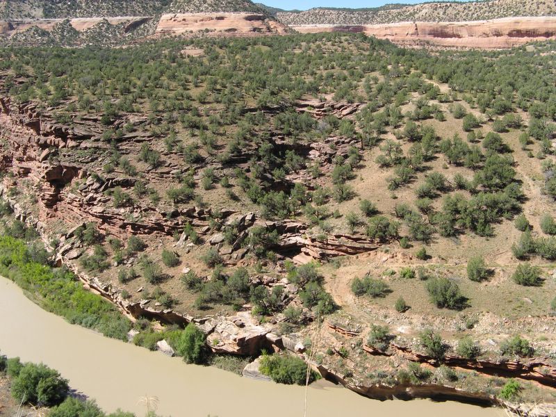 photo of vista