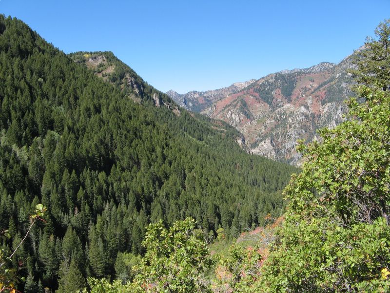 photo of rock on Timpanogos Cave Trail